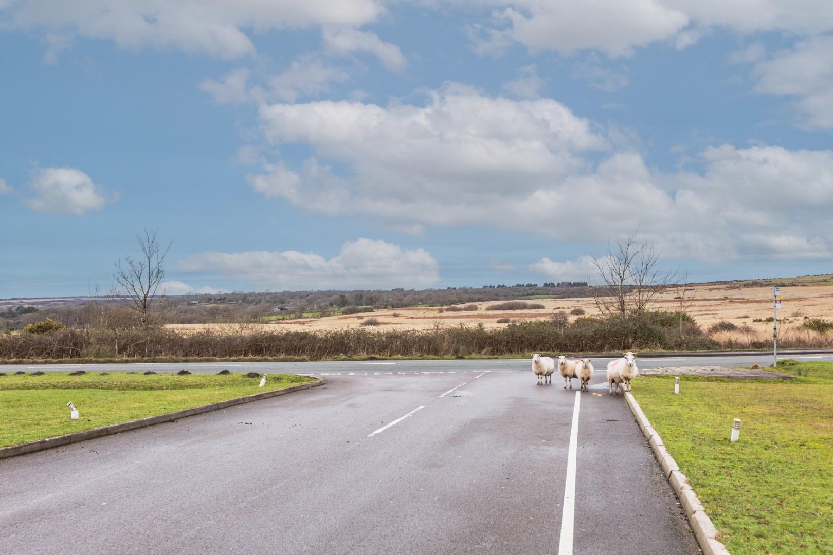 Clyne Common, Swansea, SA3 3JB